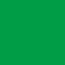Vallejo Fluid Acrylic 68.409 Premanent Green