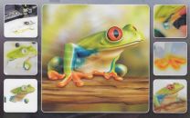 H & S Freehand Sjabloon Frog Wildlife 410133